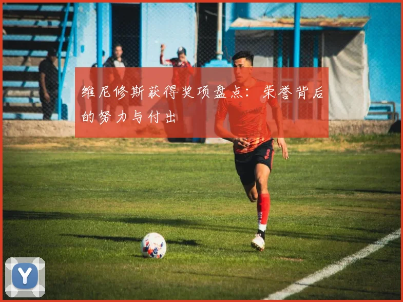 维尼修斯获得奖项盘点:荣誉背后的努力与付出