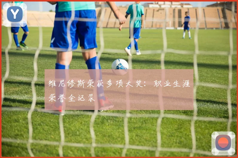 维尼修斯荣获多项大奖:职业生涯荣誉全记录