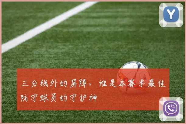 三分线外的屏障,谁是本赛季最佳防守球员的守护神