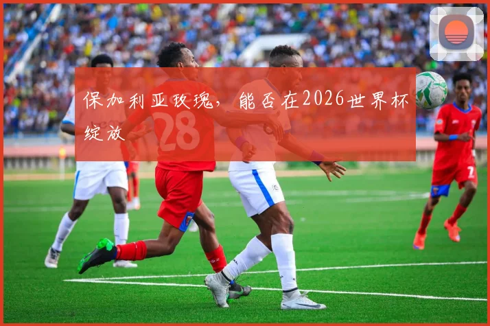 保加利亚玫瑰，能否在2026世界杯绽放