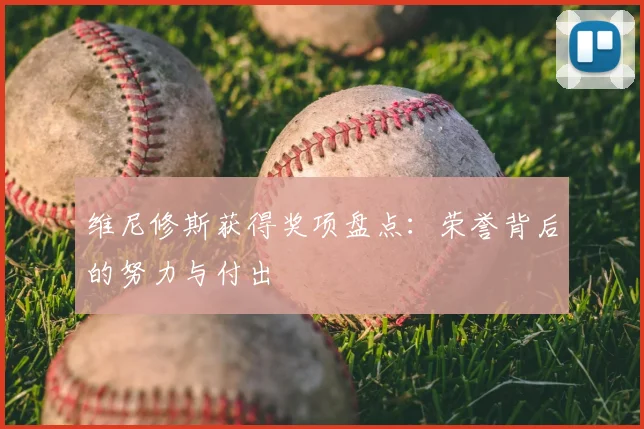 维尼修斯获得奖项盘点:荣誉背后的努力与付出