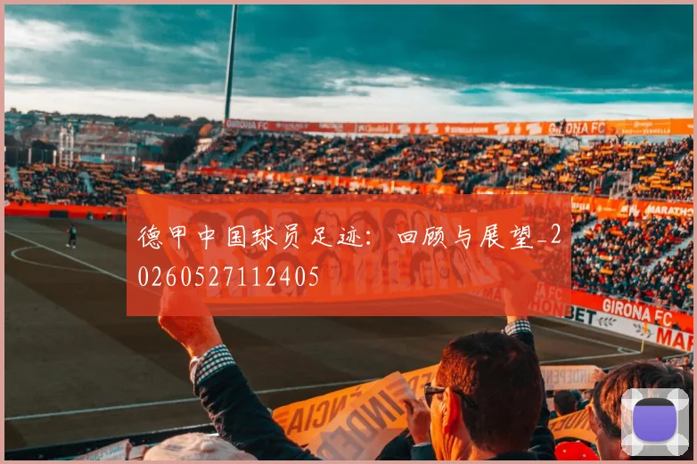 德甲中国球员足迹：回顾与展望_20260527112405