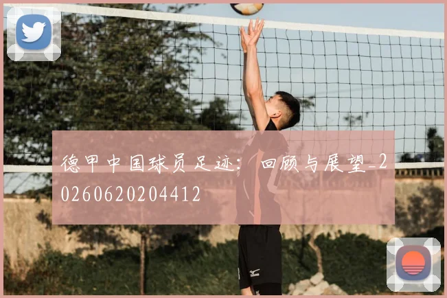 德甲中国球员足迹：回顾与展望_20260620204412