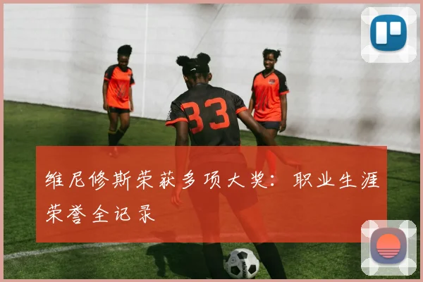 维尼修斯荣获多项大奖:职业生涯荣誉全记录